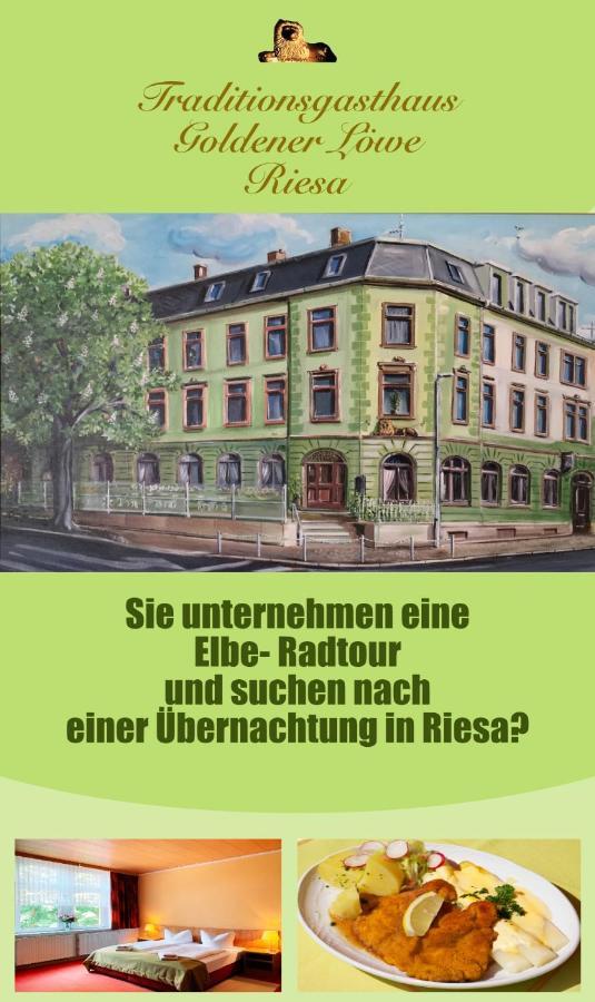 Gæstehus Traditionsgasthaus Goldener Loewe Restaurant & Riesa
